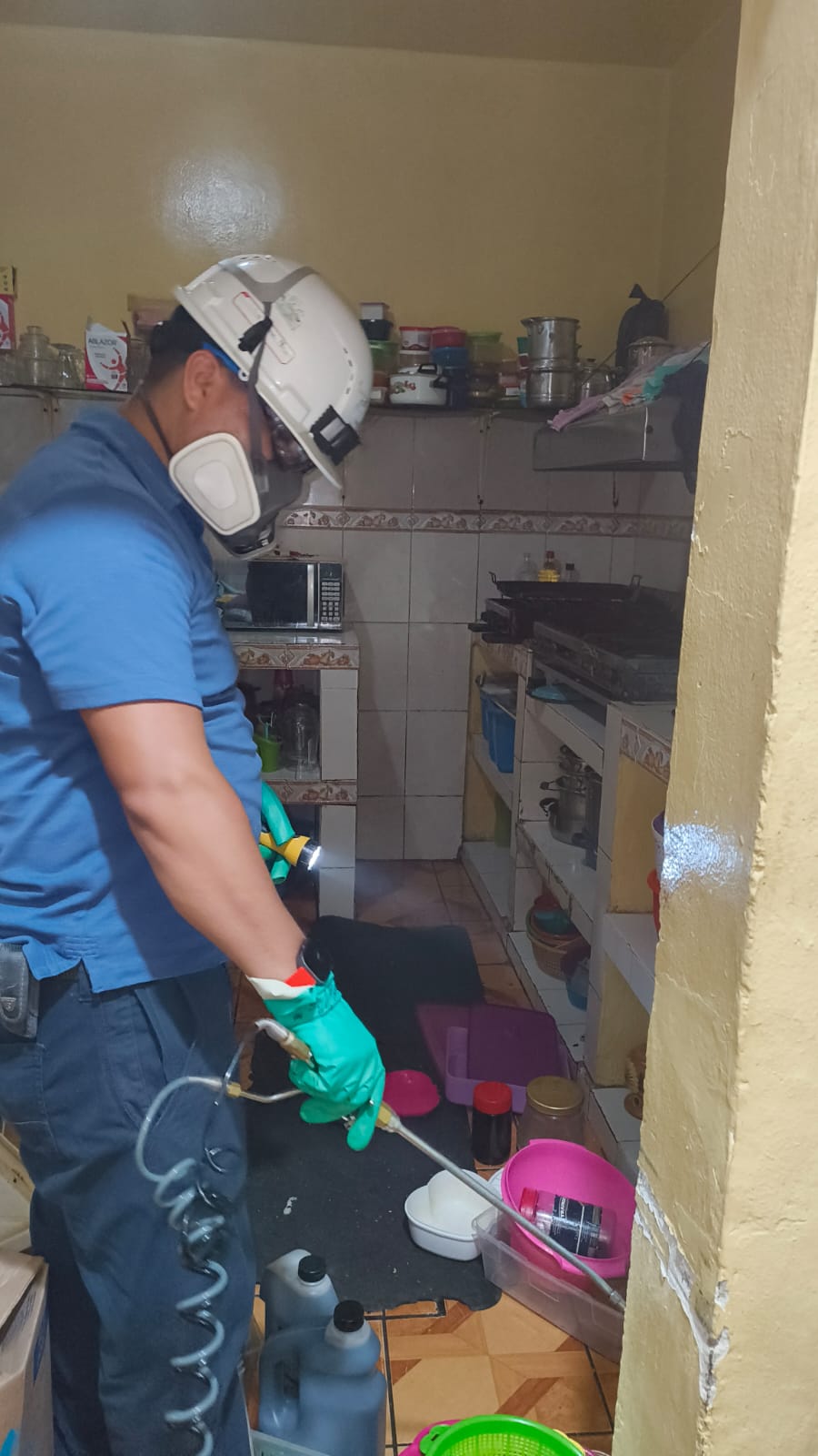 Imagen de Desinfección en el Hogar