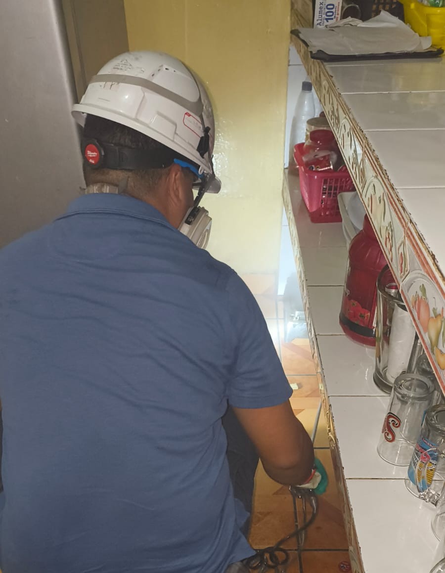 Imagen de Desinfección Profunda del Hogar