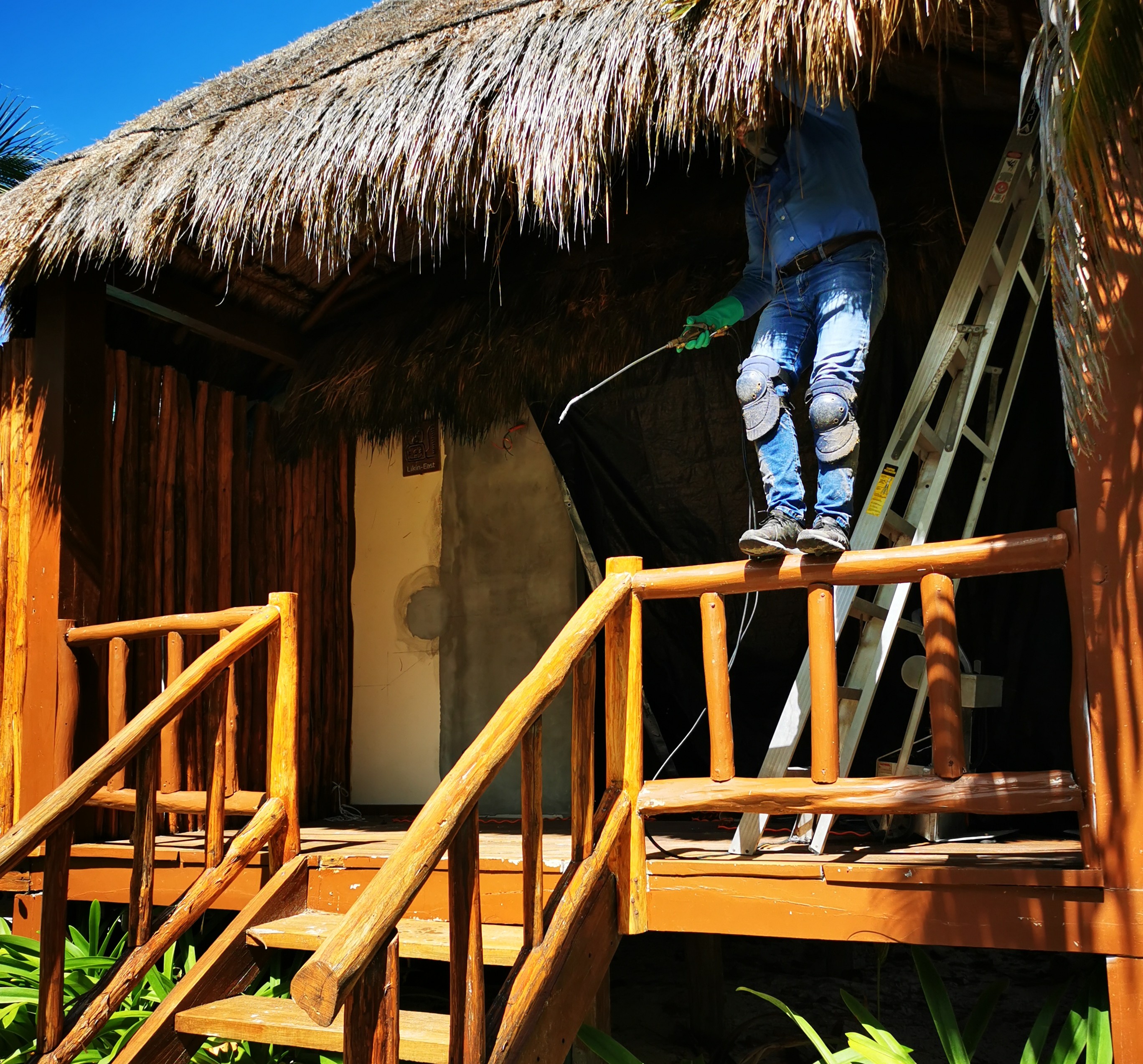 [Image of Hogar Limpio]