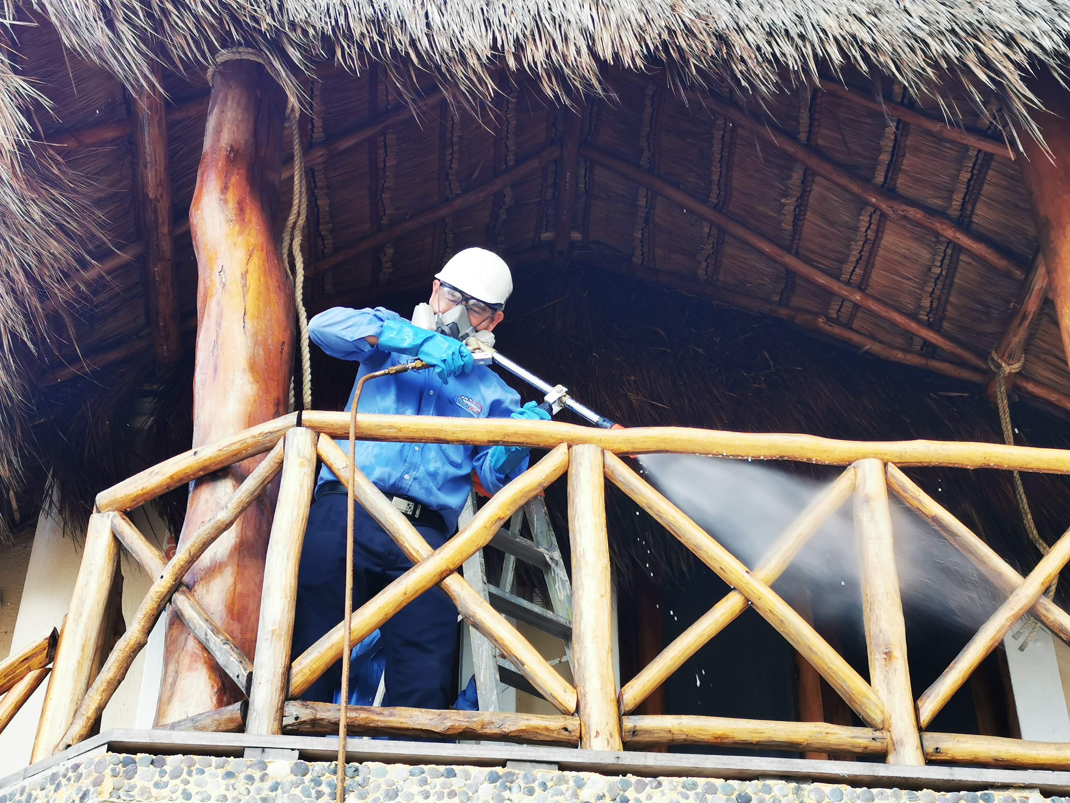 Control de Plagas Profesional