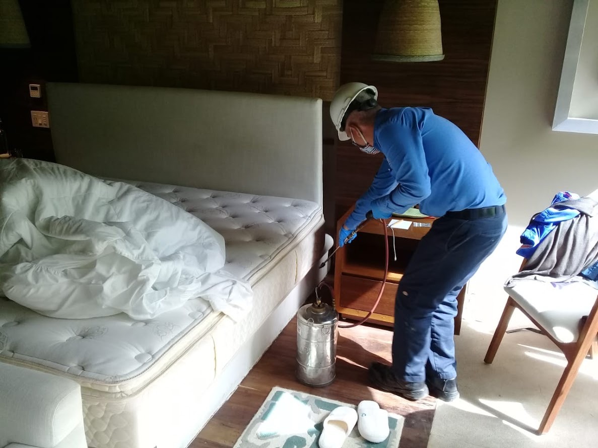 [Image of Hotel]