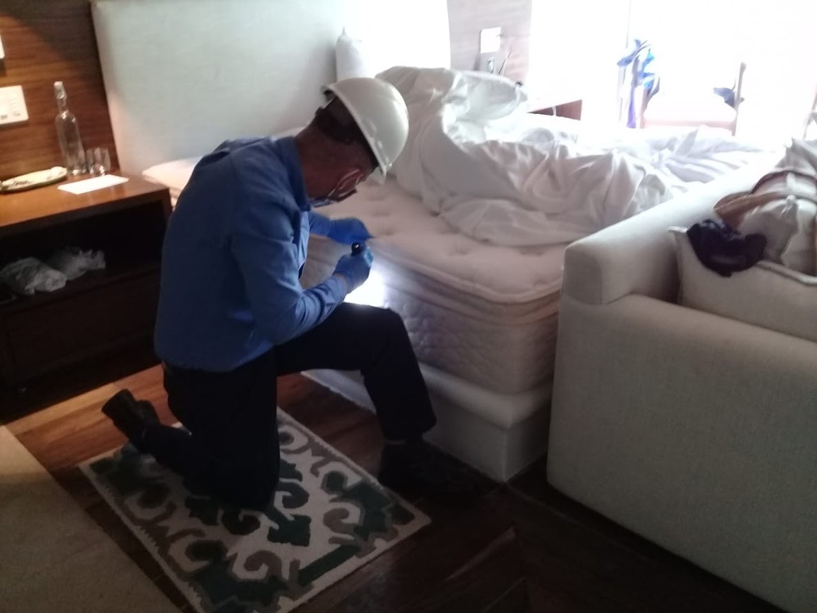 [Image of Habitacion Hotel]