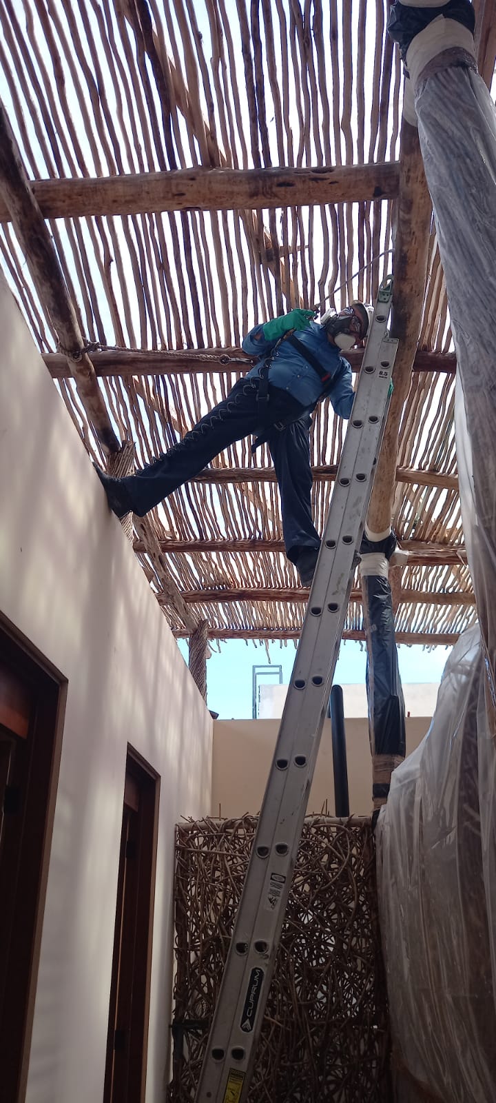 Técnico de Plagas